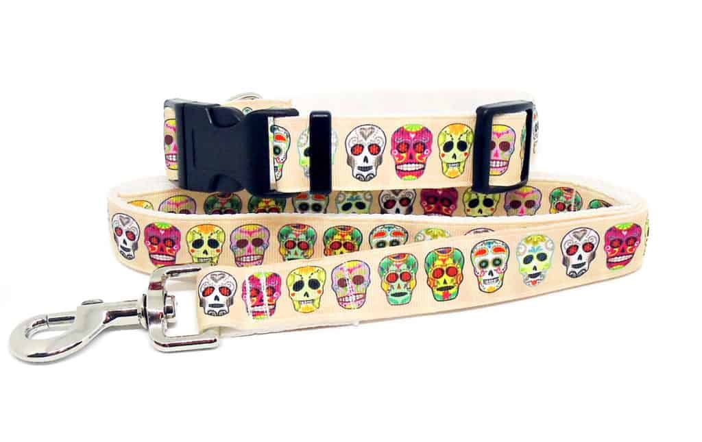 cream skulls collar and lead set
