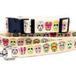 cream skulls collar and lead set