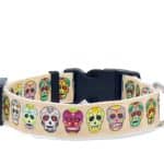 cream skull dog collar