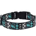 blue aztec dog collar