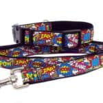 bam pow collar and lead
