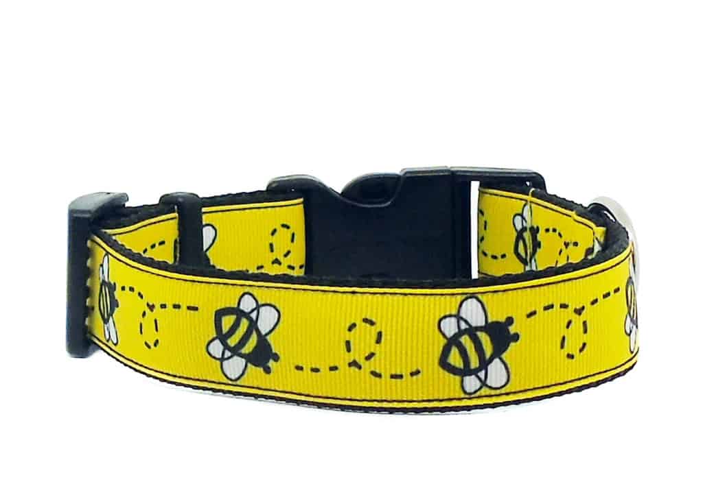 bee print dog collar
