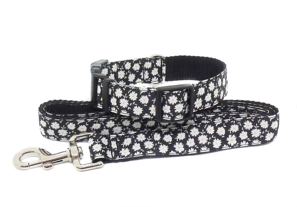 daisy collar and lead