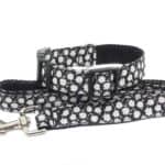 daisy collar and lead