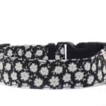 black daisy dog collar