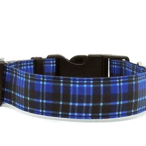 blue tartan dog collar