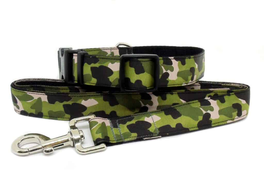 camouflage collar and lead