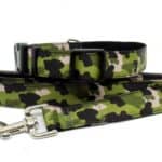camouflage collar and lead