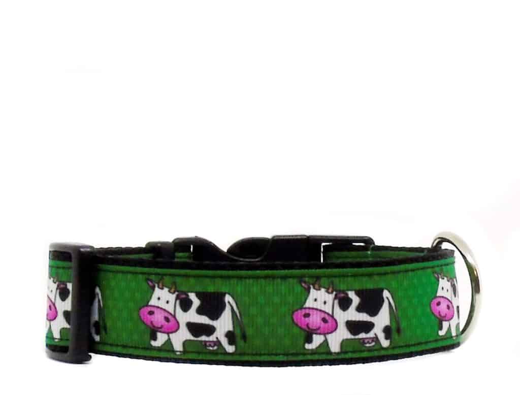 cow dog collar