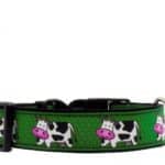 cow dog collar