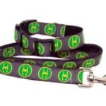 loki collar and lead