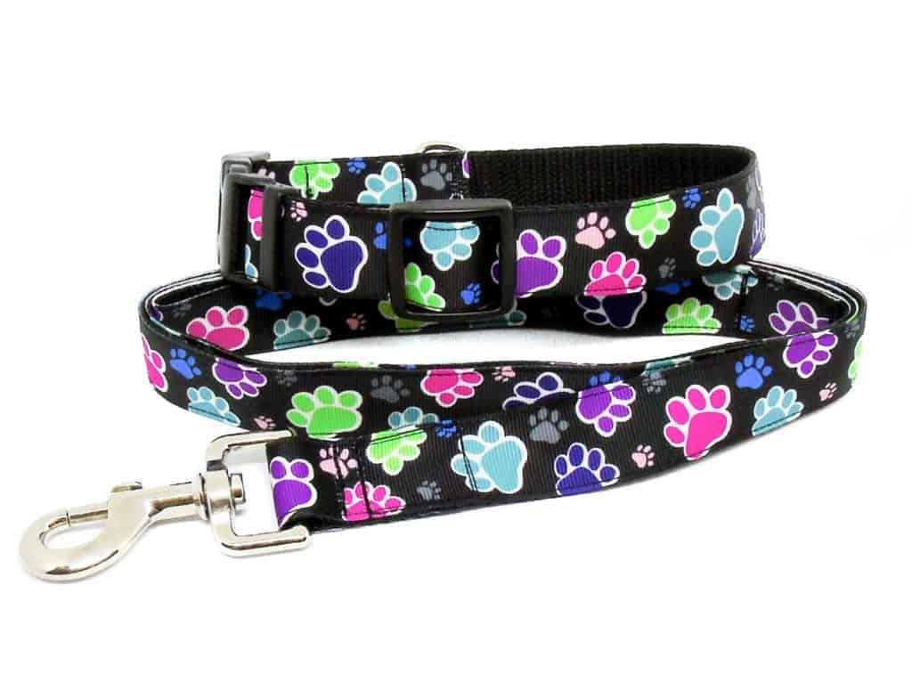 paw print collar and lead