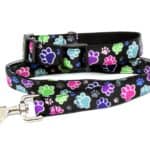 paw print collar and lead