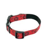supernatural collar and lead set