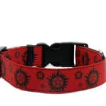 supernatural dog collar