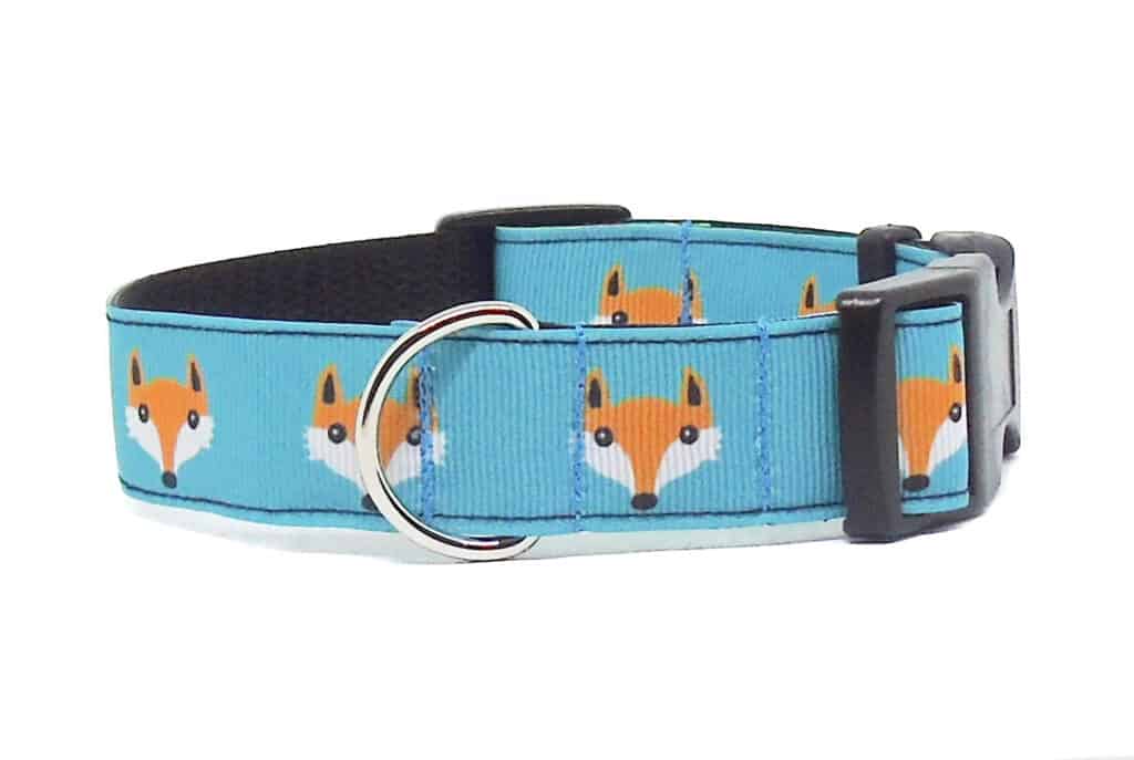 fox dog collar