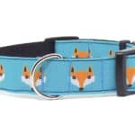fox dog collar