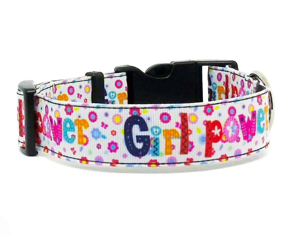 girl power dog collar