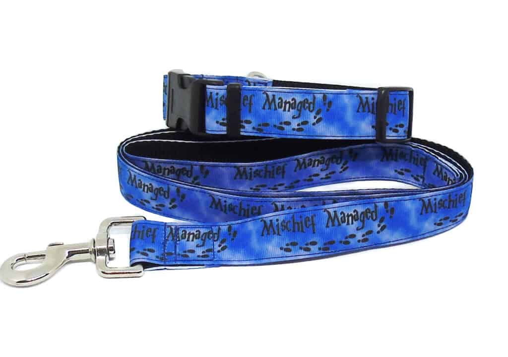 mischief dog collar and lead set