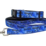 mischief dog collar and lead set