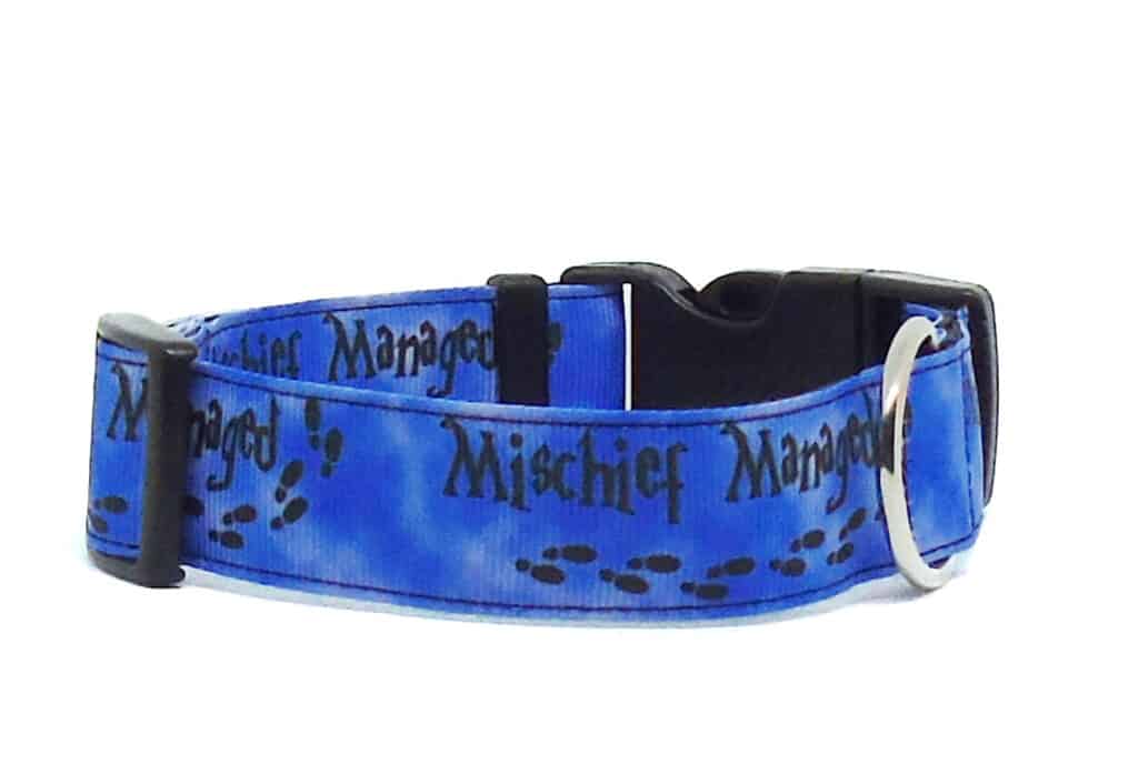 blue mischief dog collar