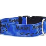 blue mischief dog collar