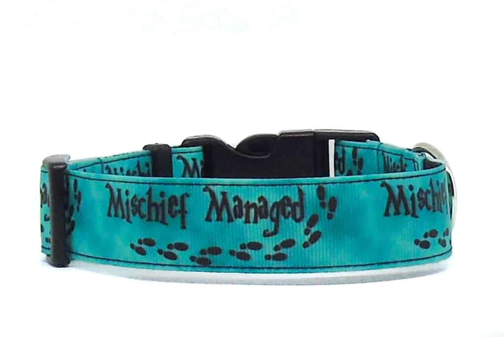 green mischief dog collar