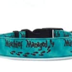 green mischief dog collar