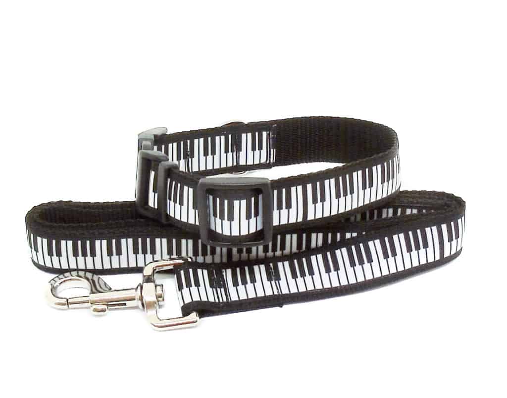 piano collar and lead