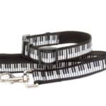 piano collar and lead