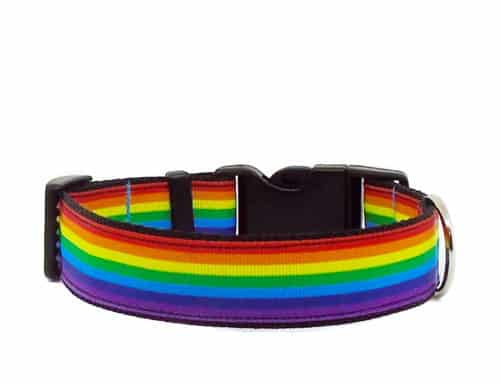 rainbow pride dog collar