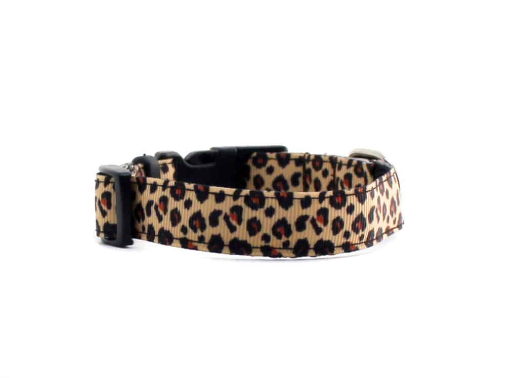animal print cat collar