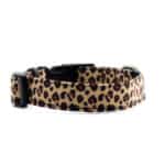 animal print cat collar