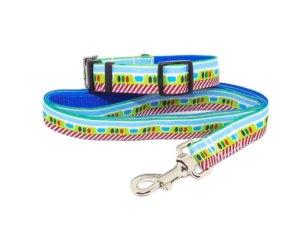 Buzz Dog Collar and Lead Set Dog Charmed