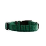 cactus cat collar