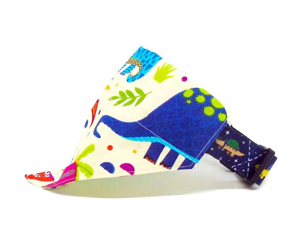 Dinosaur Dog Collar Bandana Dog Charmed