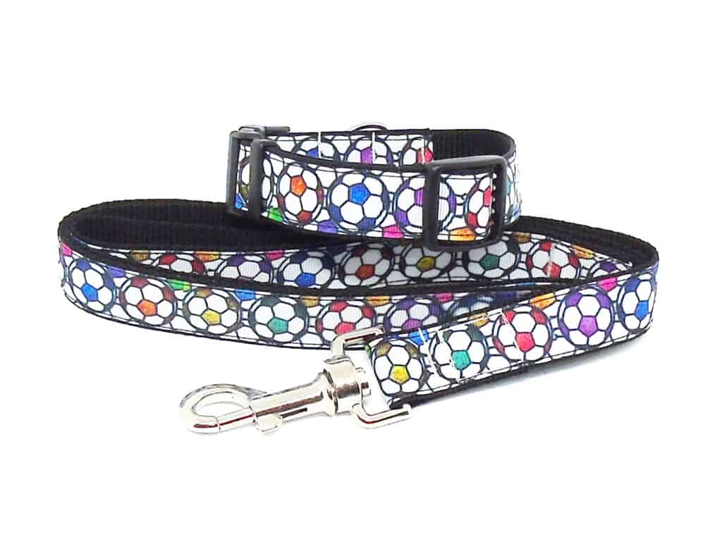 football collar and lead