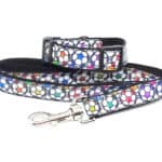 football collar and lead