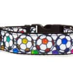 footballs dog collar