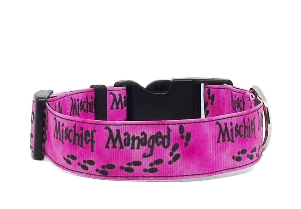 mischief pink dog collar