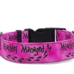 mischief pink dog collar