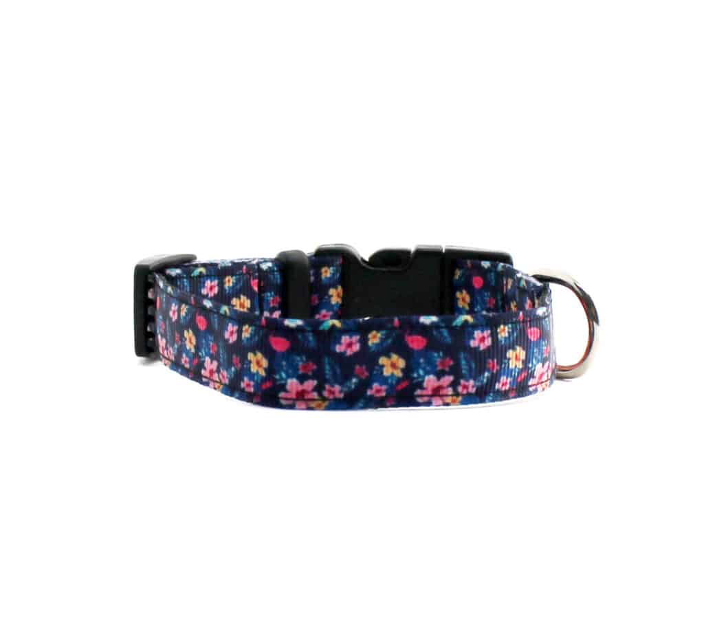 navy floral cat collar