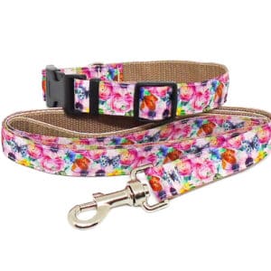 peach floral collar and lead