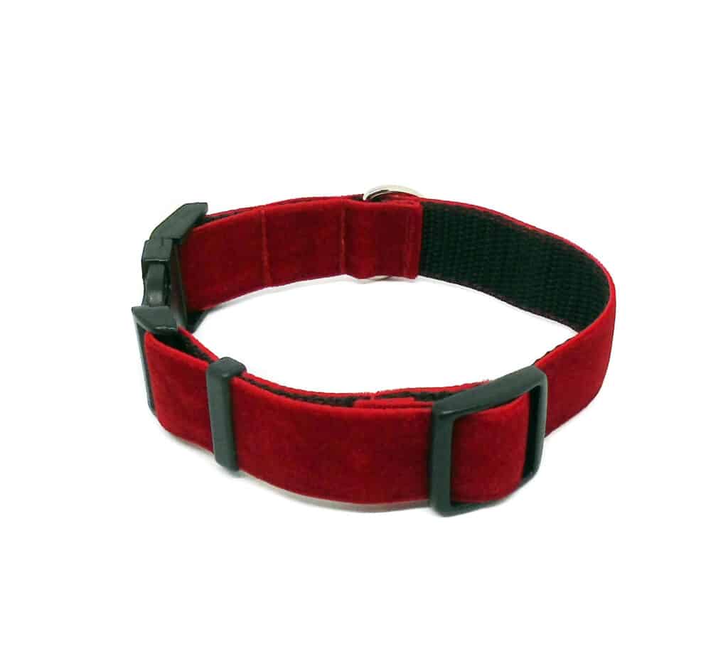Red Velvet Dog Collar Dog Charmed