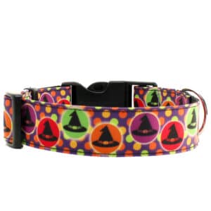 witches halloween dog collar