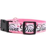 pink diva dog collar