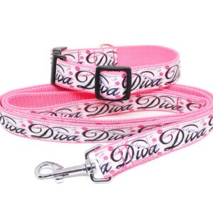pink diva collar and lead set