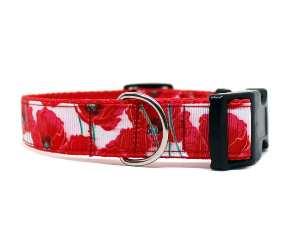 red poppy dog collar