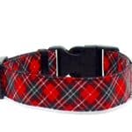 red tartan dog collar