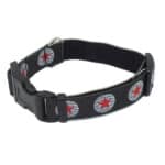 winter soldier dog collar